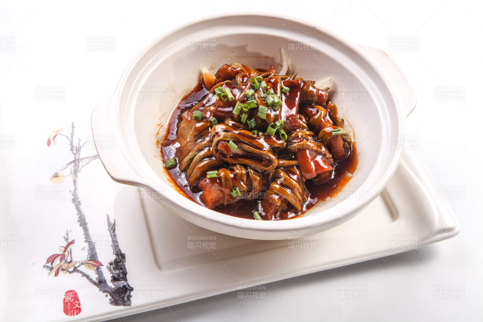 白背景上的砂锅酱焖豆角丝烧肉