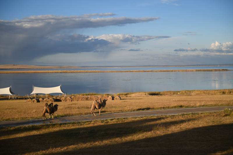 骆驼湖畔行