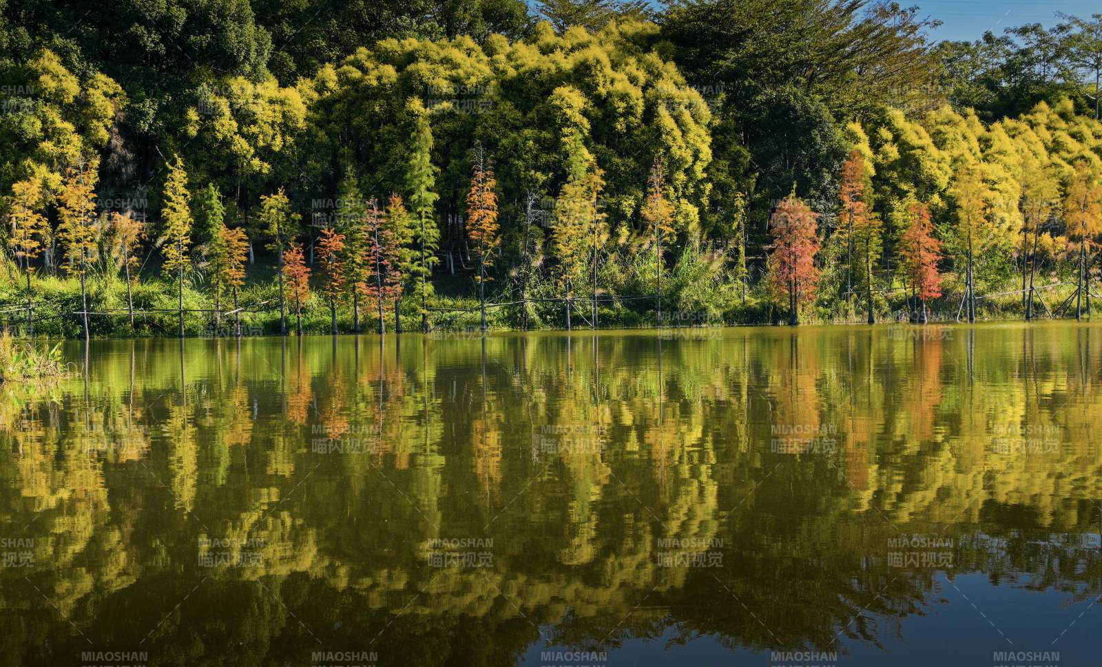 湿地公园秋湖倒影美景