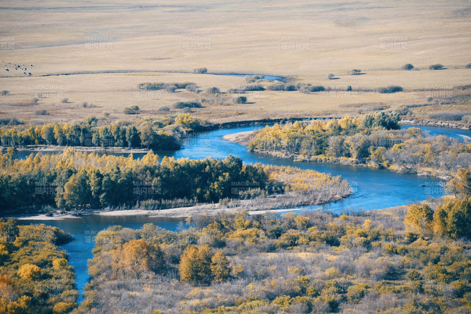 呼伦贝尔秋日河湾风光