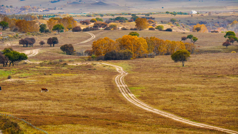 乌兰布统秋野小径