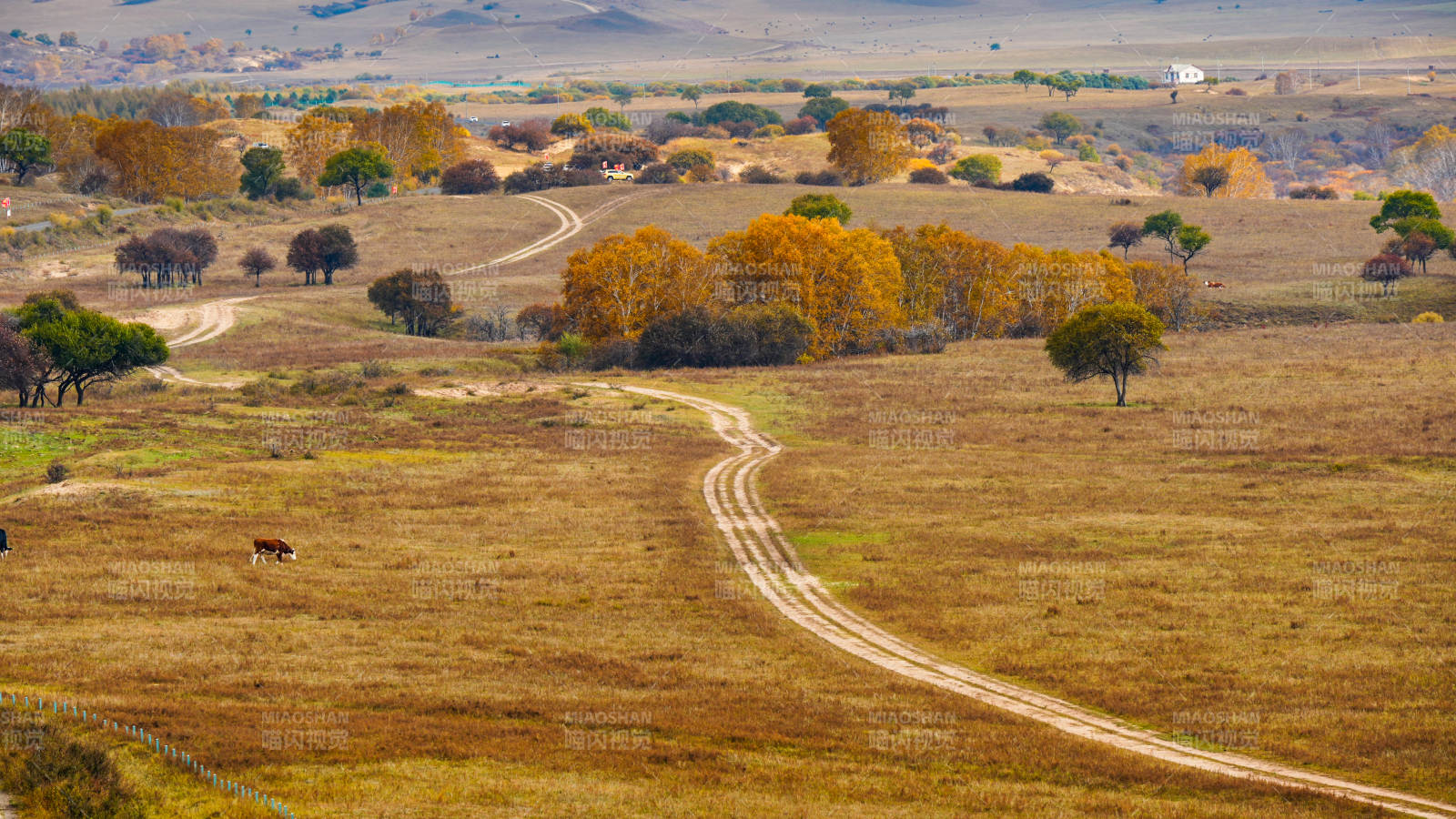 乌兰布统秋野小径
