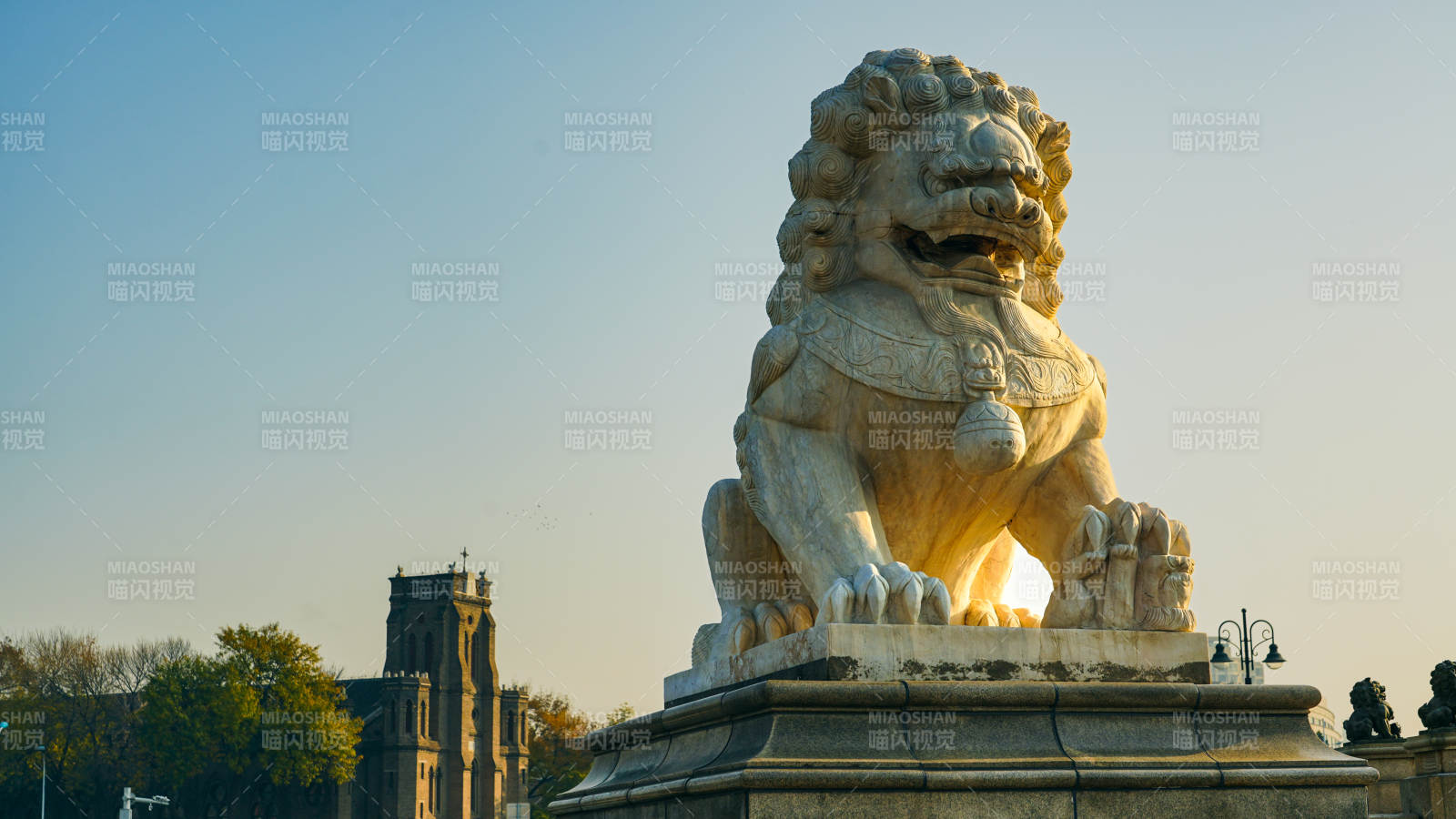 天津狮子林桥石狮守望晨光