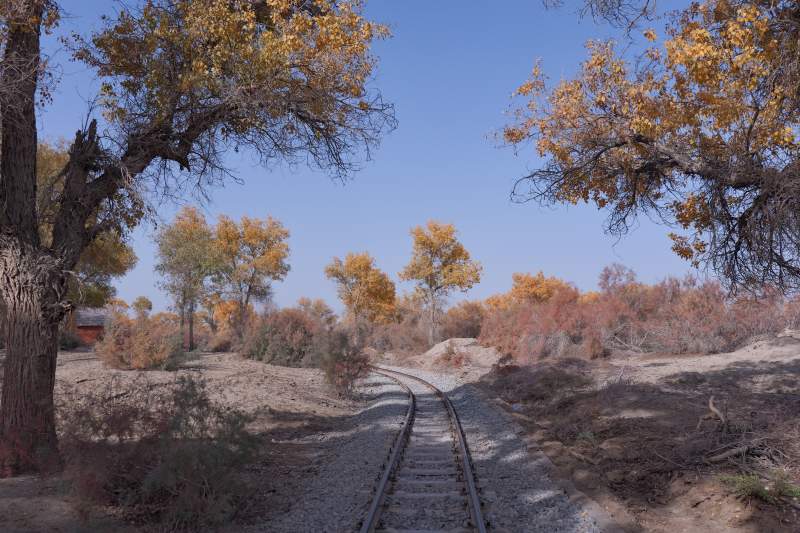 秋日铁轨风景（新疆轮台）