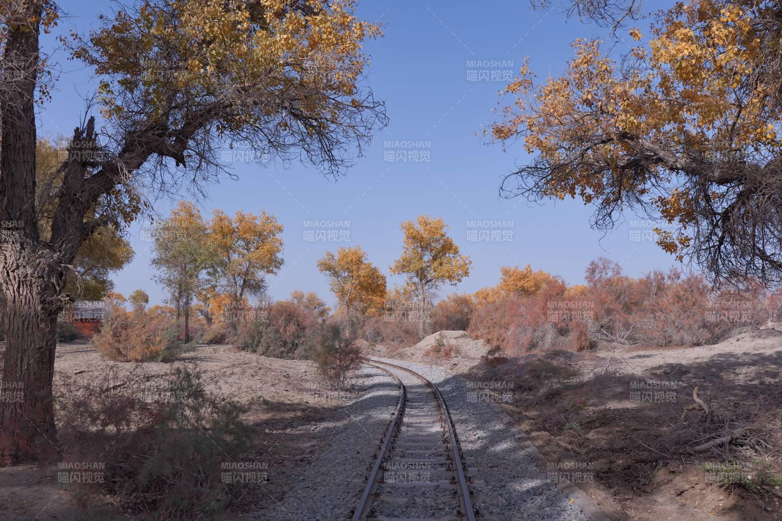 秋日铁轨风景（新疆轮台）