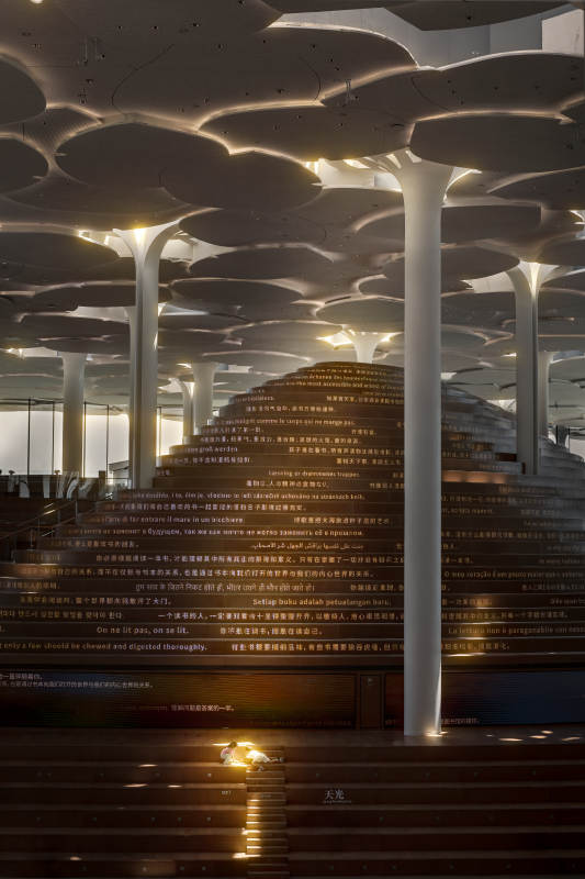 北京城市图书馆看书的孩子