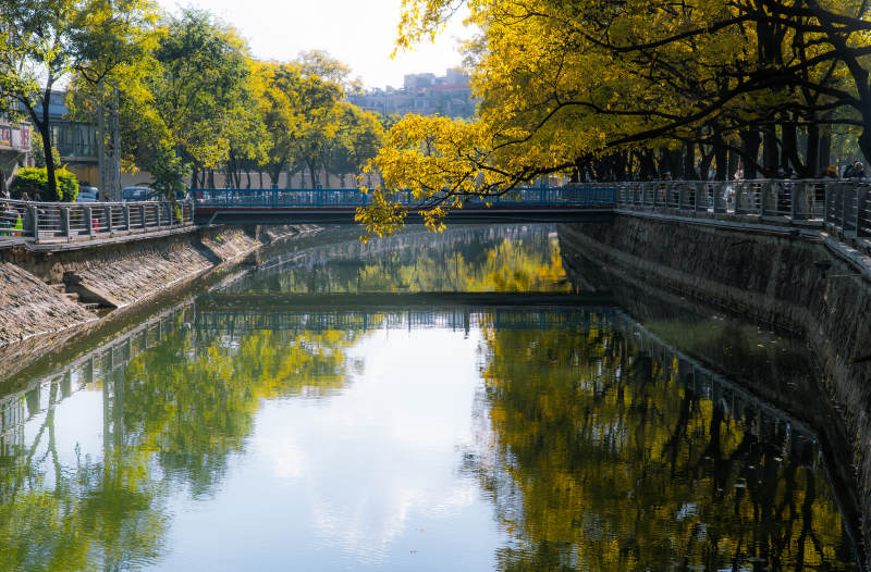 大观河面秋水映黄叶
