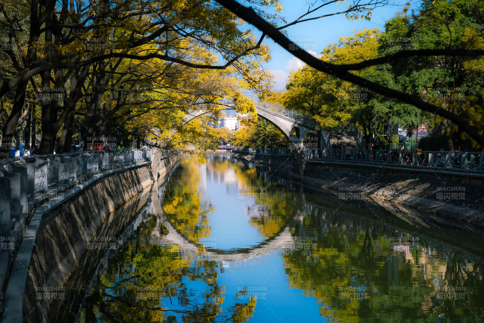 大观河畔倒影美