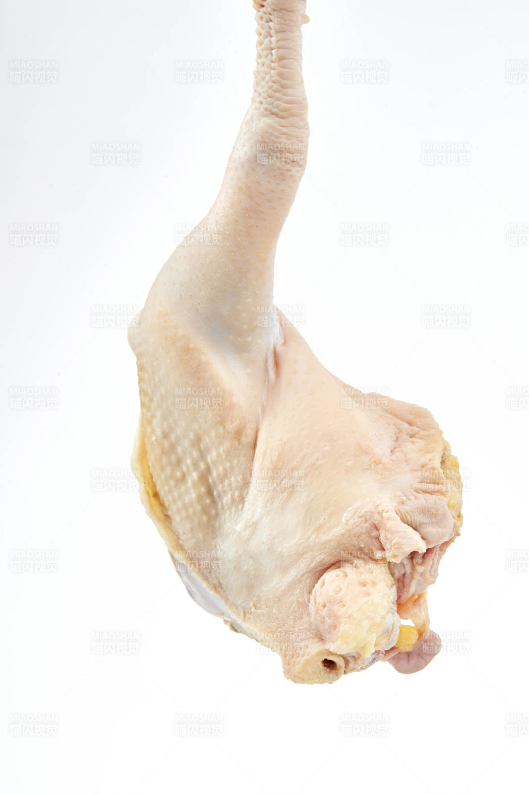 摆放在白色背景上分切好的生鲜鸡腿