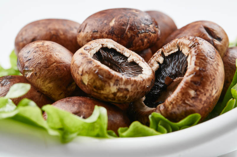 白色背景上摆放的火锅食材新鲜口蘑