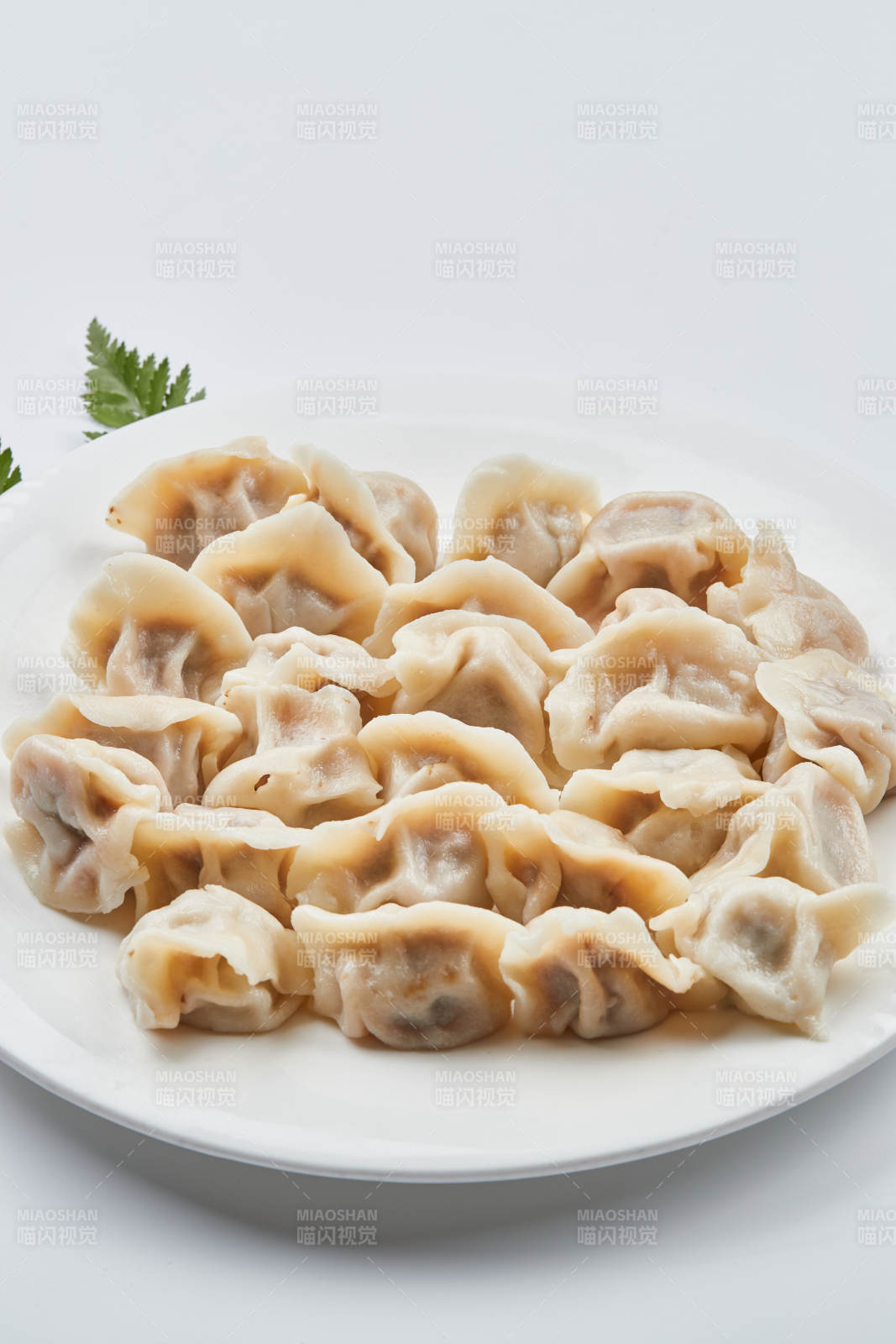 现包手工猪肉白菜饺子