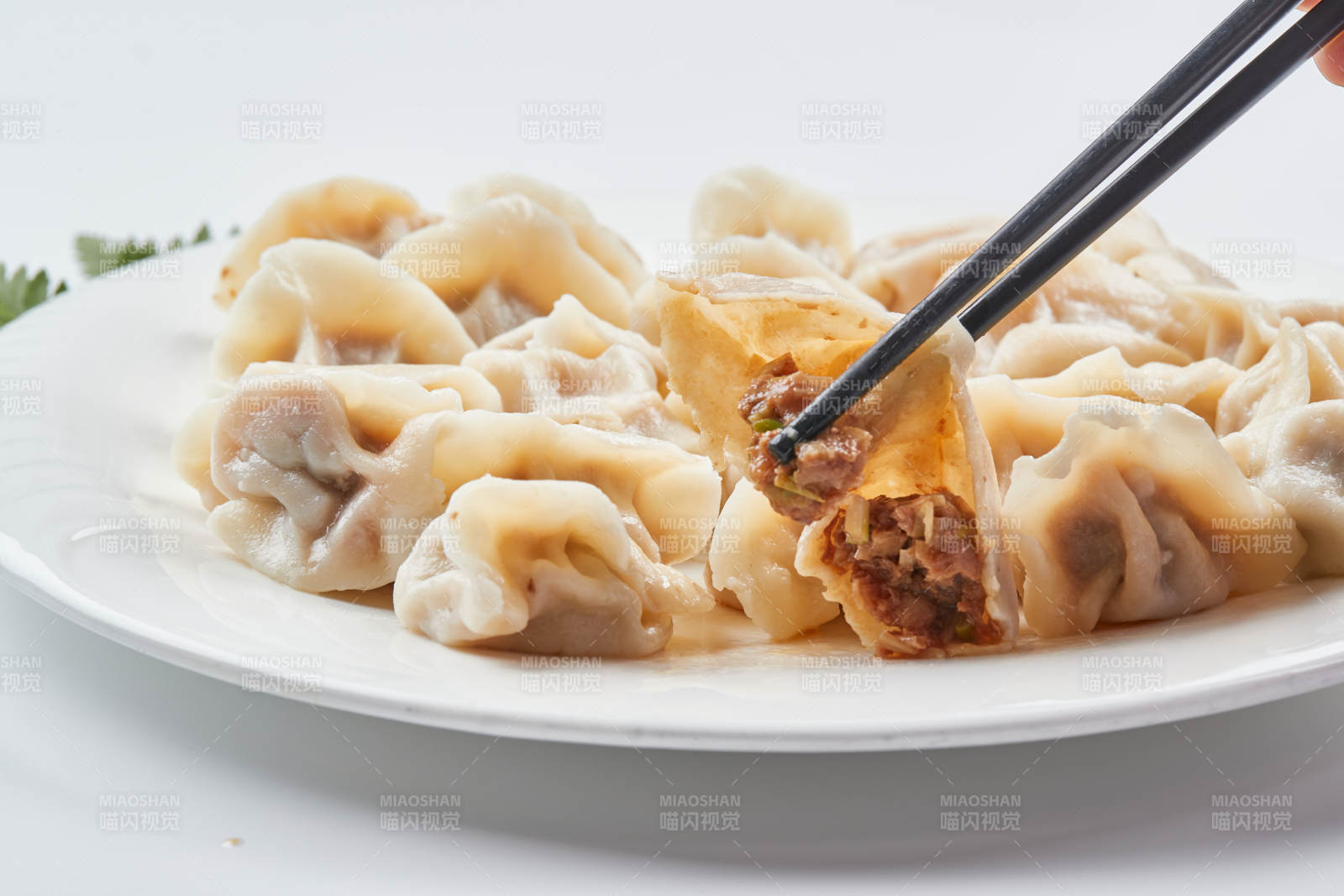 现包手工猪肉白菜饺子