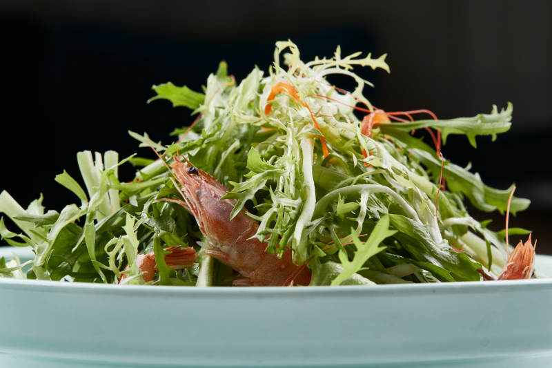 青色瓷餐具装的苦菊拌河虾