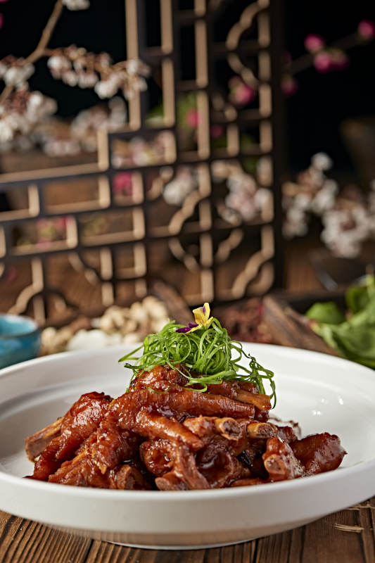 红烧凤爪猪肋排