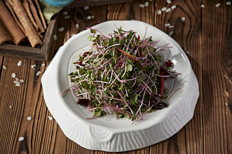 涼拌香椿苗黑豆苗