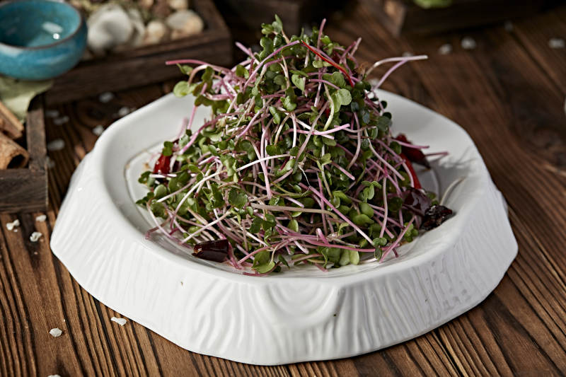 涼拌香椿苗黑豆苗