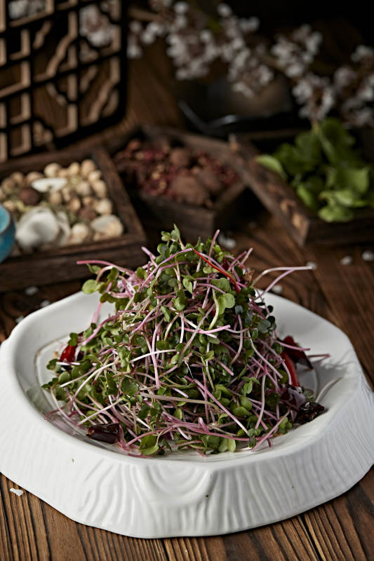 涼拌香椿苗黑豆苗