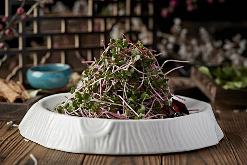 涼拌香椿苗黑豆苗