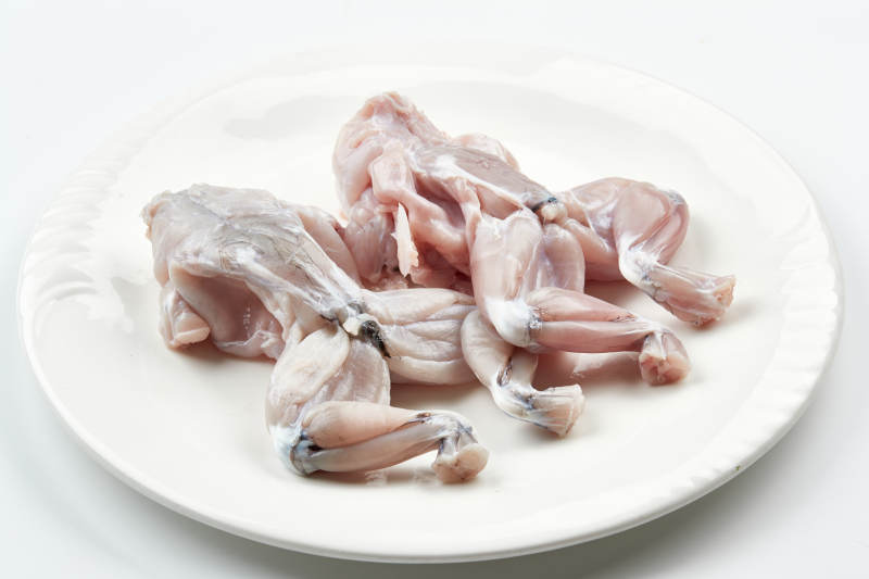 白色瓷盤裝的現殺大牛蛙