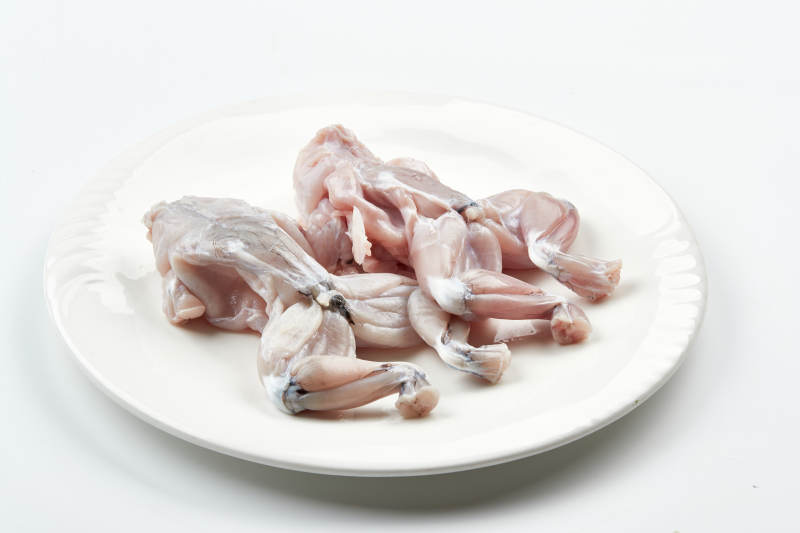 白色瓷盤裝的現殺大牛蛙