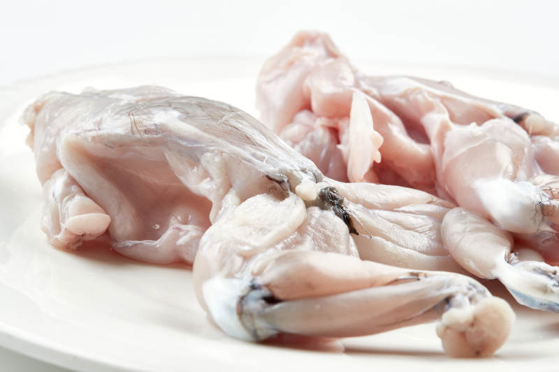 白色瓷盤裝的現殺大牛蛙