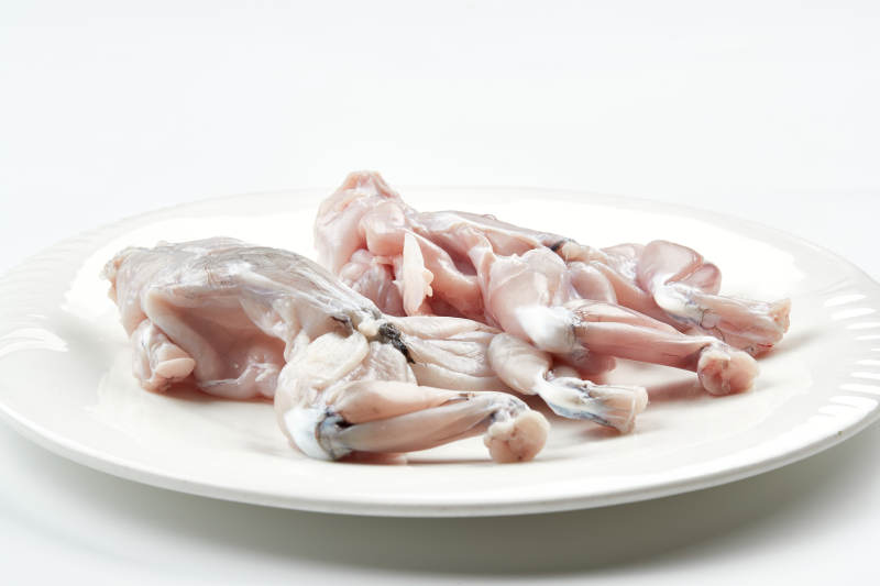 白色瓷盤裝的現殺大牛蛙