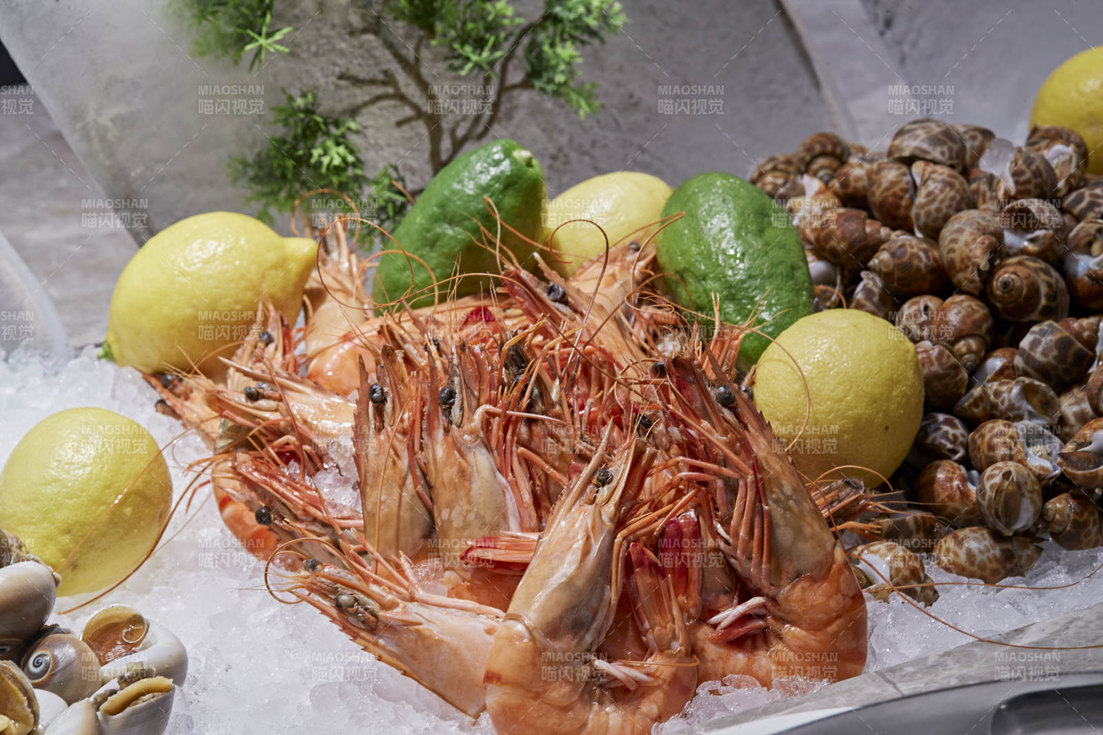 高档星级酒店自助餐的海鲜餐台