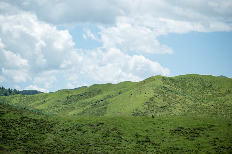 绿野蓝天 云卷云舒