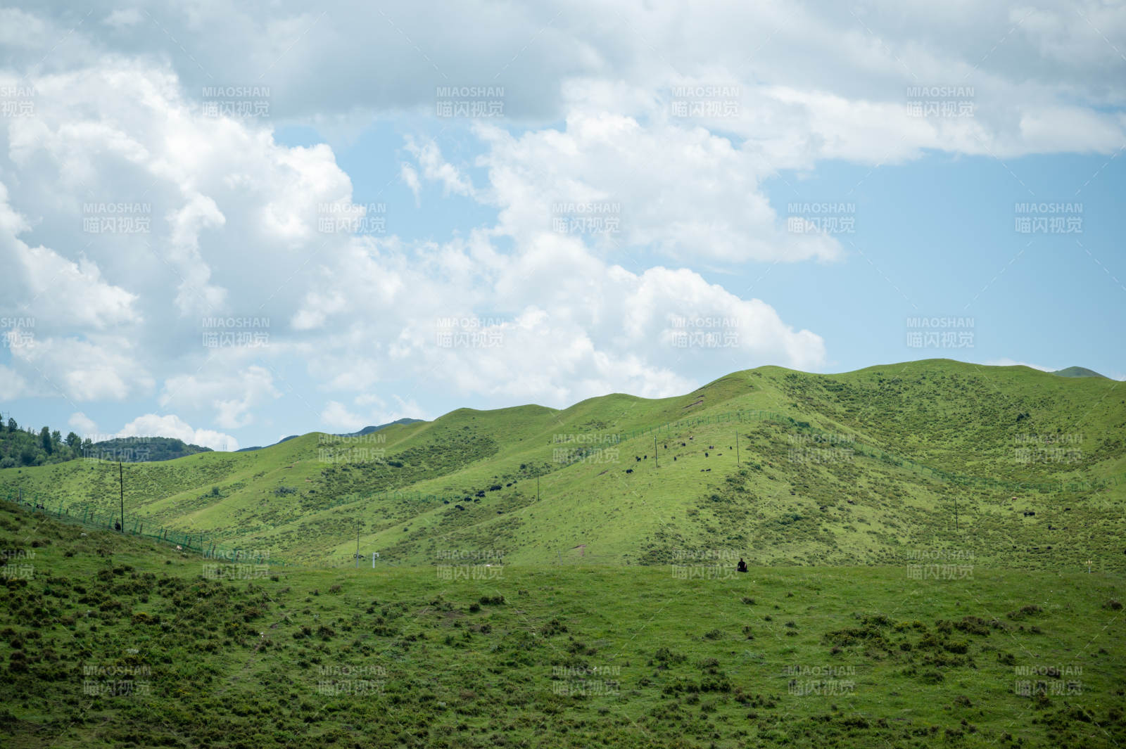 绿野蓝天 云卷云舒