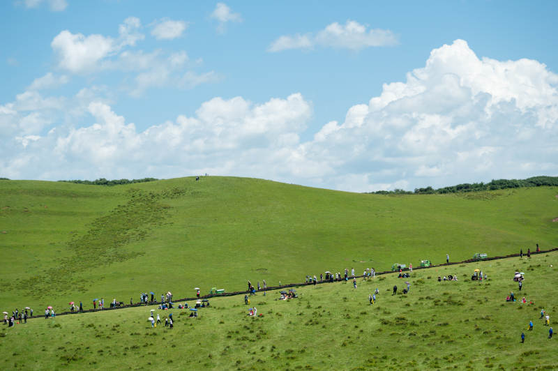 绿野欢聚 云天共舞