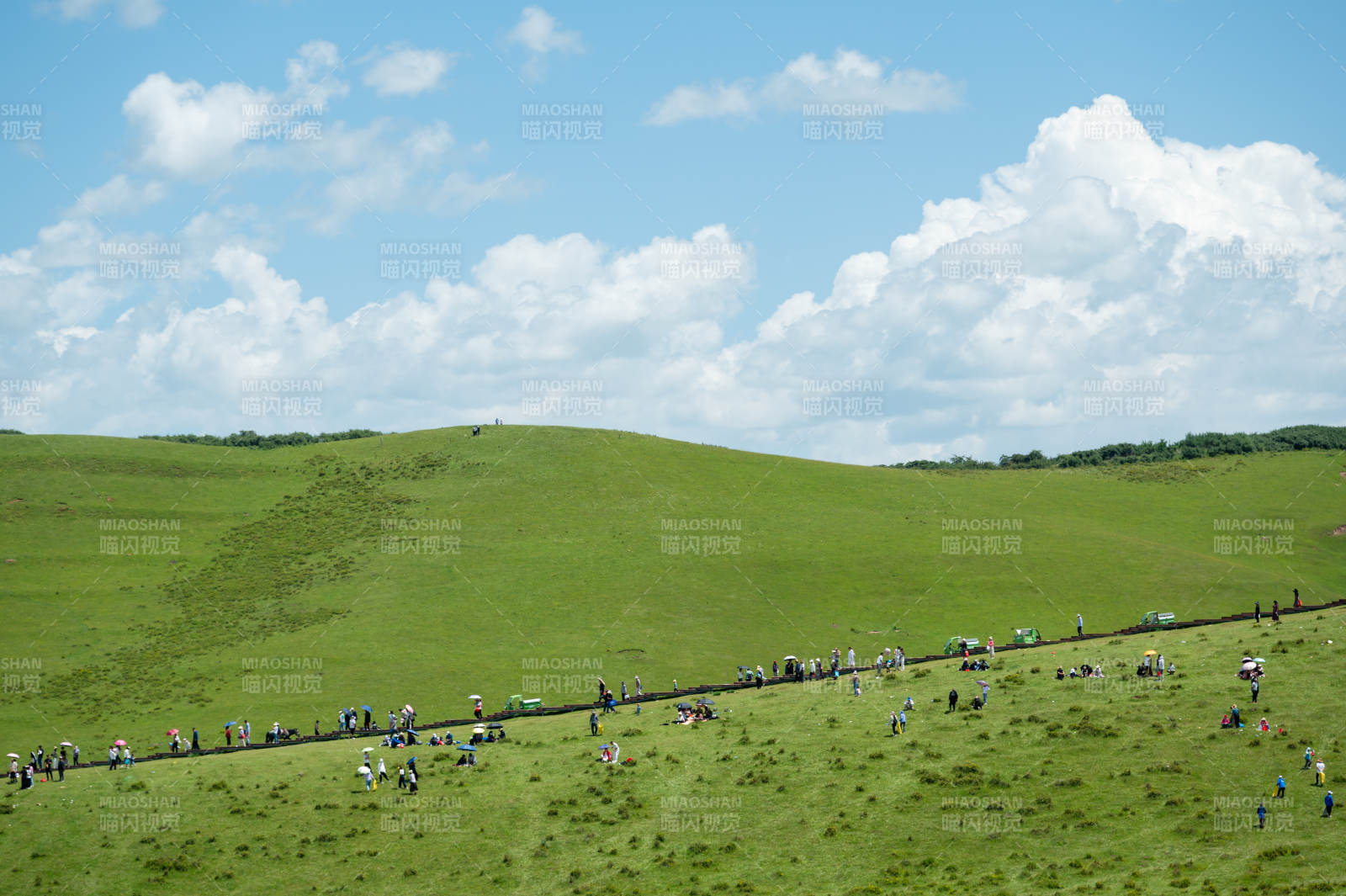 绿野欢聚 云天共舞