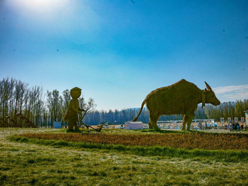 北京海淀稻香花海—草雕牛童耕田图