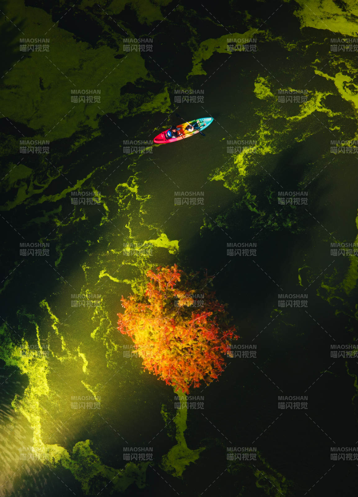 临安青山湖秋水行舟