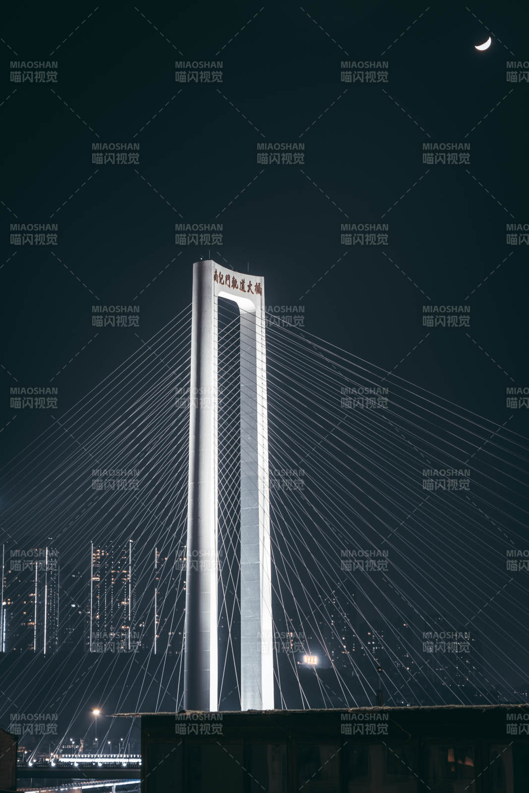 重庆南纪门大桥夜景