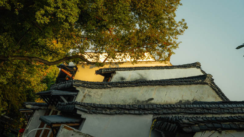 司前街和道前街古建筑与树影