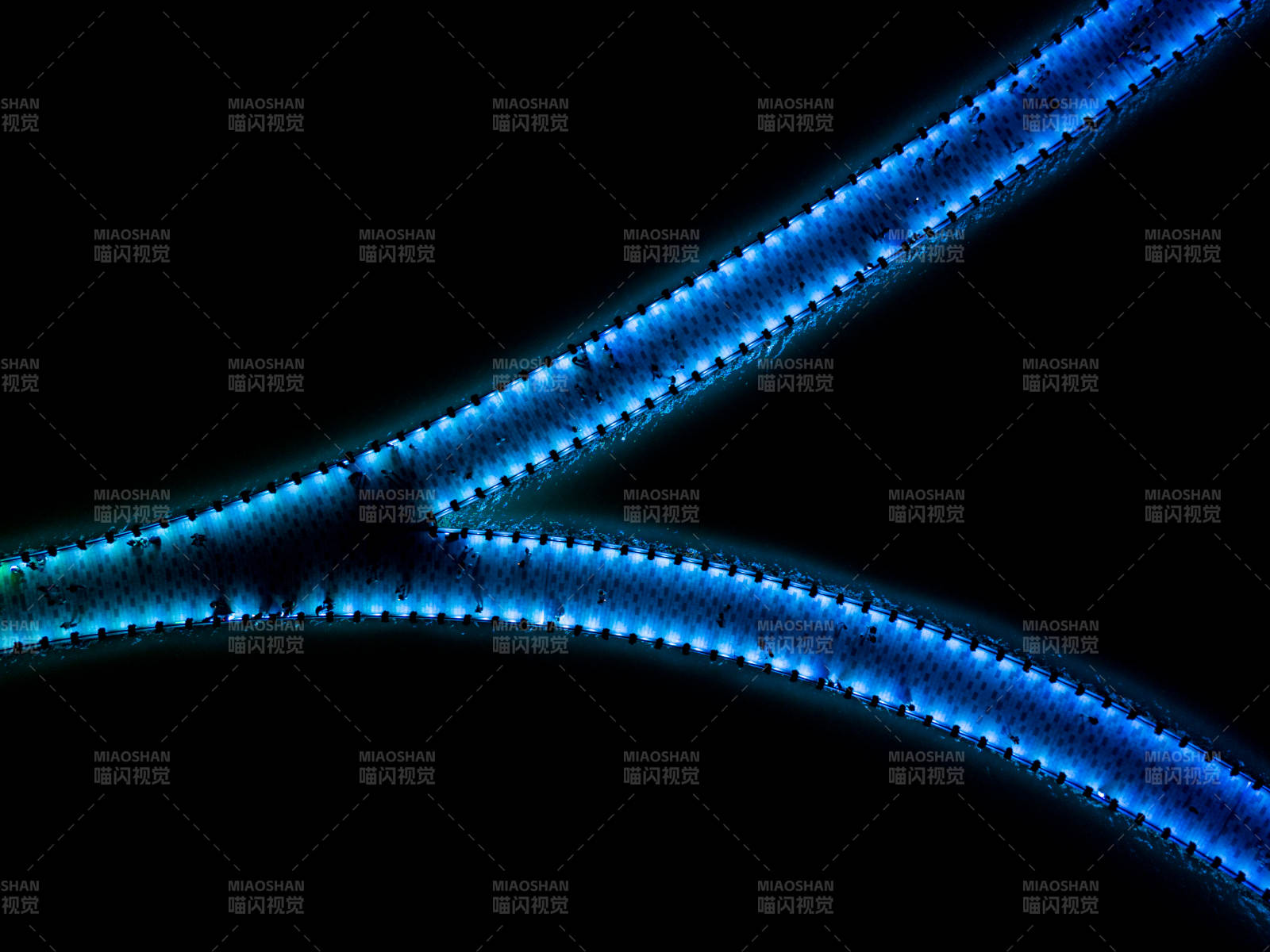 蓝光交织的金水栈桥线条