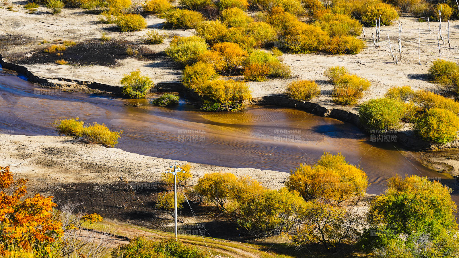 乌兰布统秋水映黄林