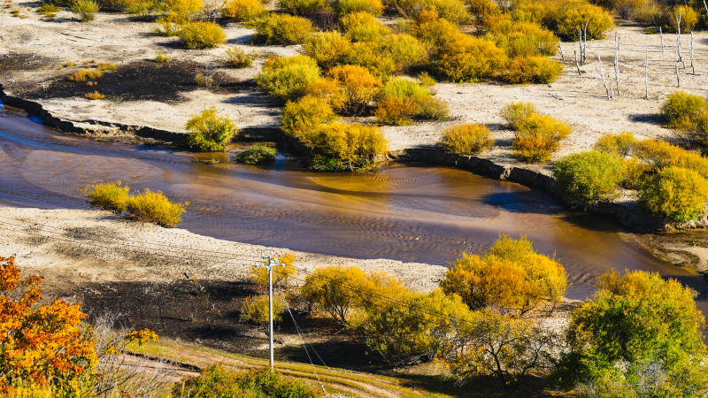 乌兰布统秋水映黄林