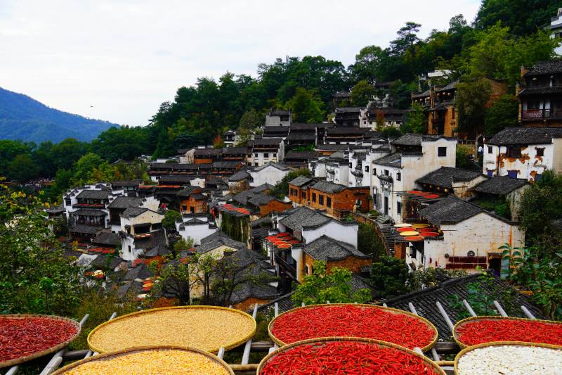 古村晒秋景位于江西婺源篁岭