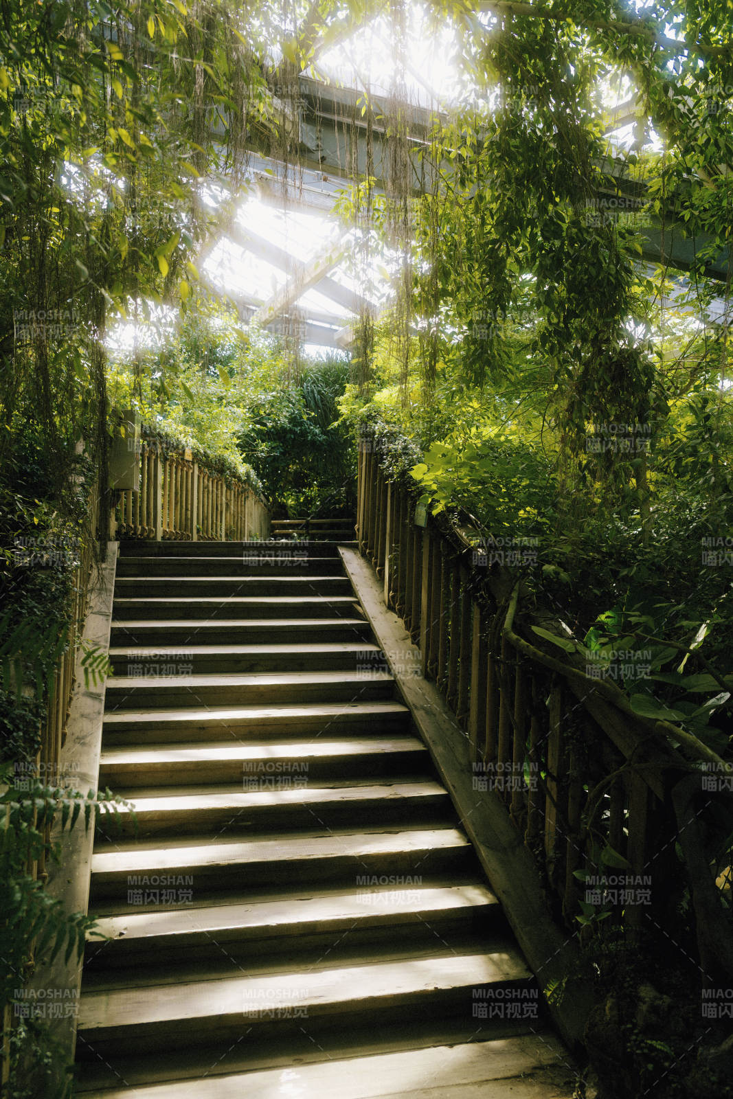 绿意盎然的阶梯