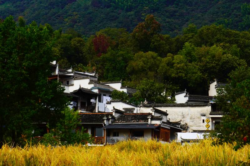 田园古村秋景位于塔川