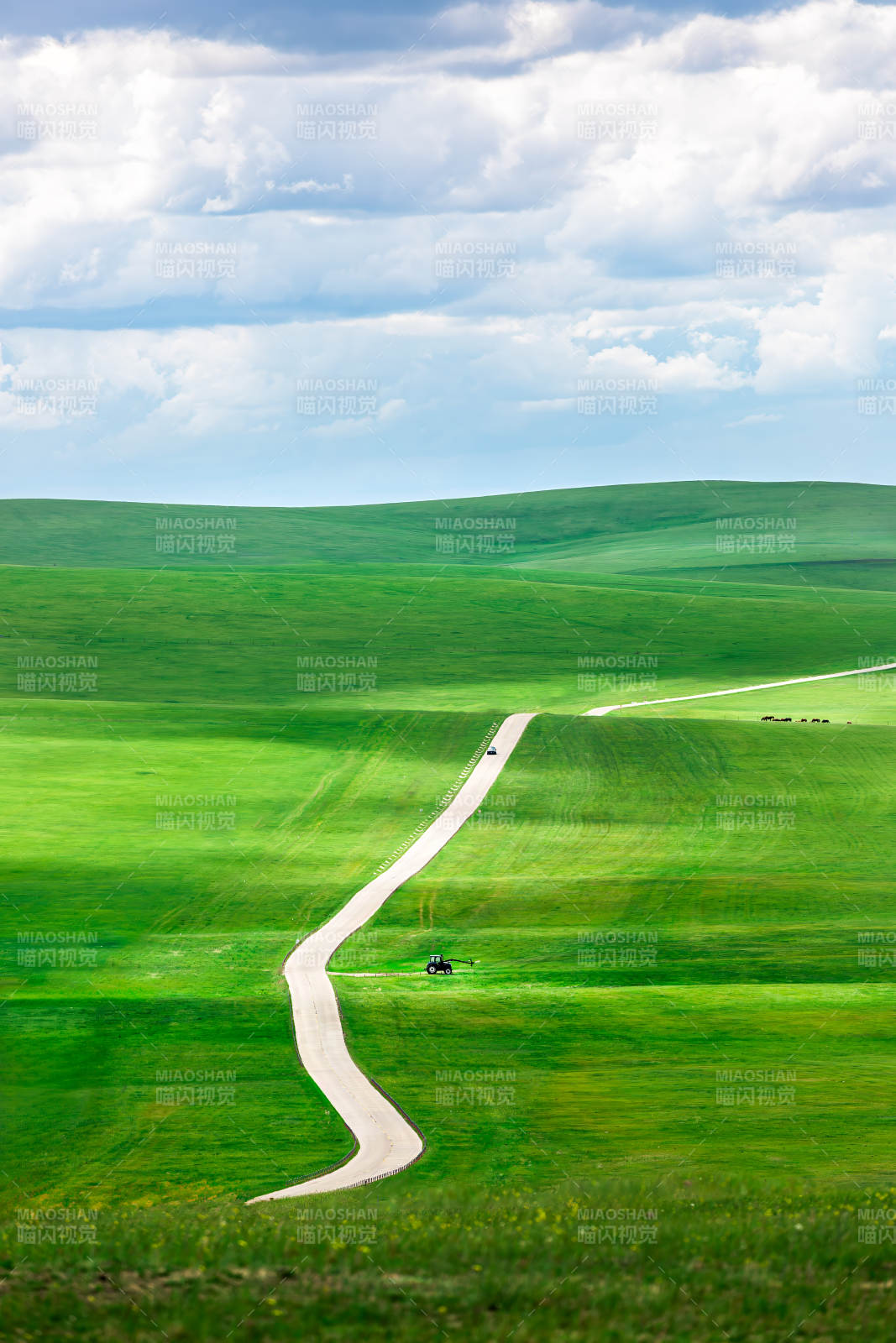 呼伦贝尔大草原绿野蜿蜒路