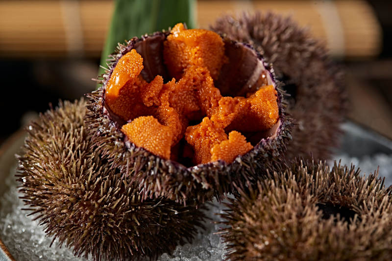 日料生鲜海胆刺身