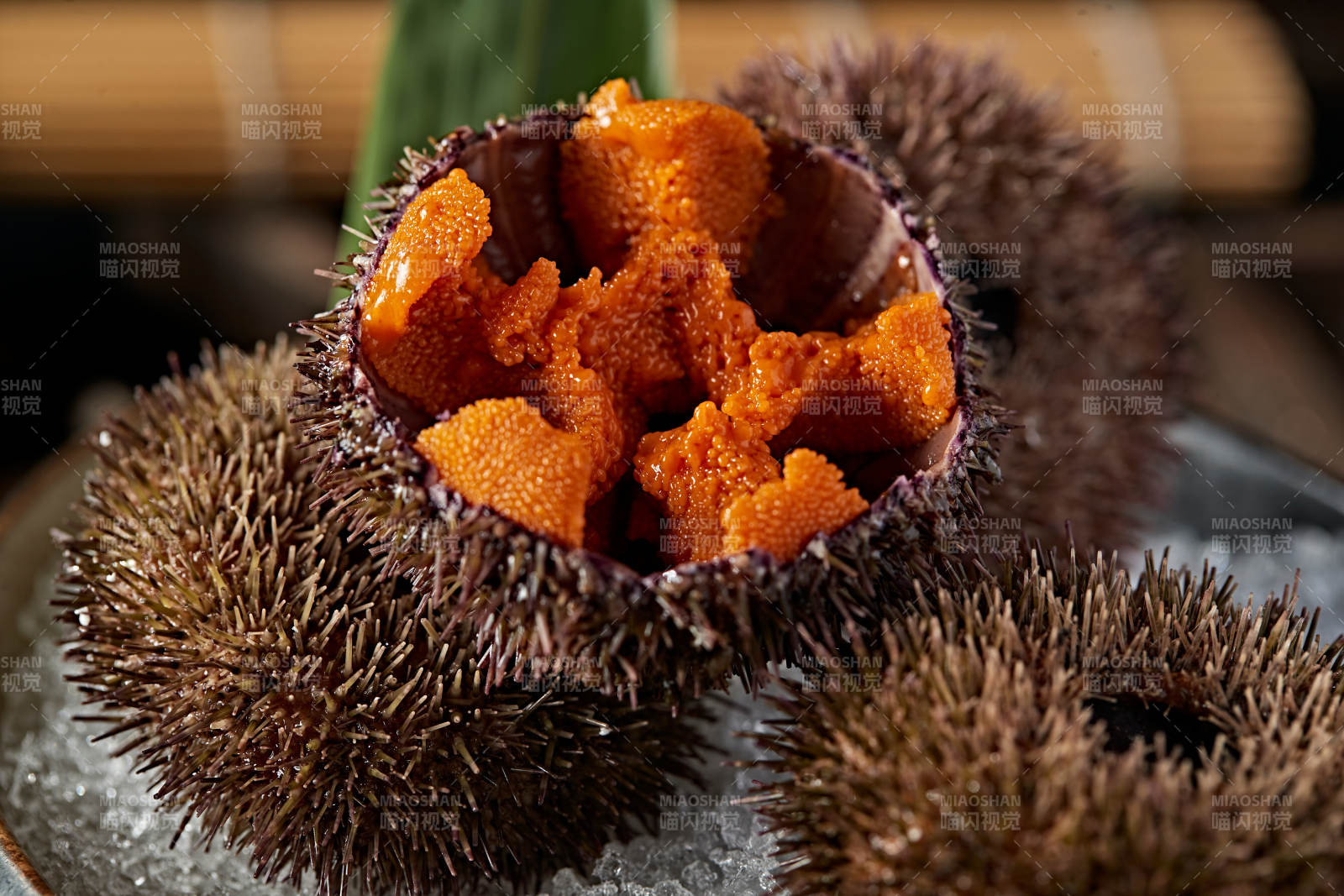 日料生鲜海胆刺身