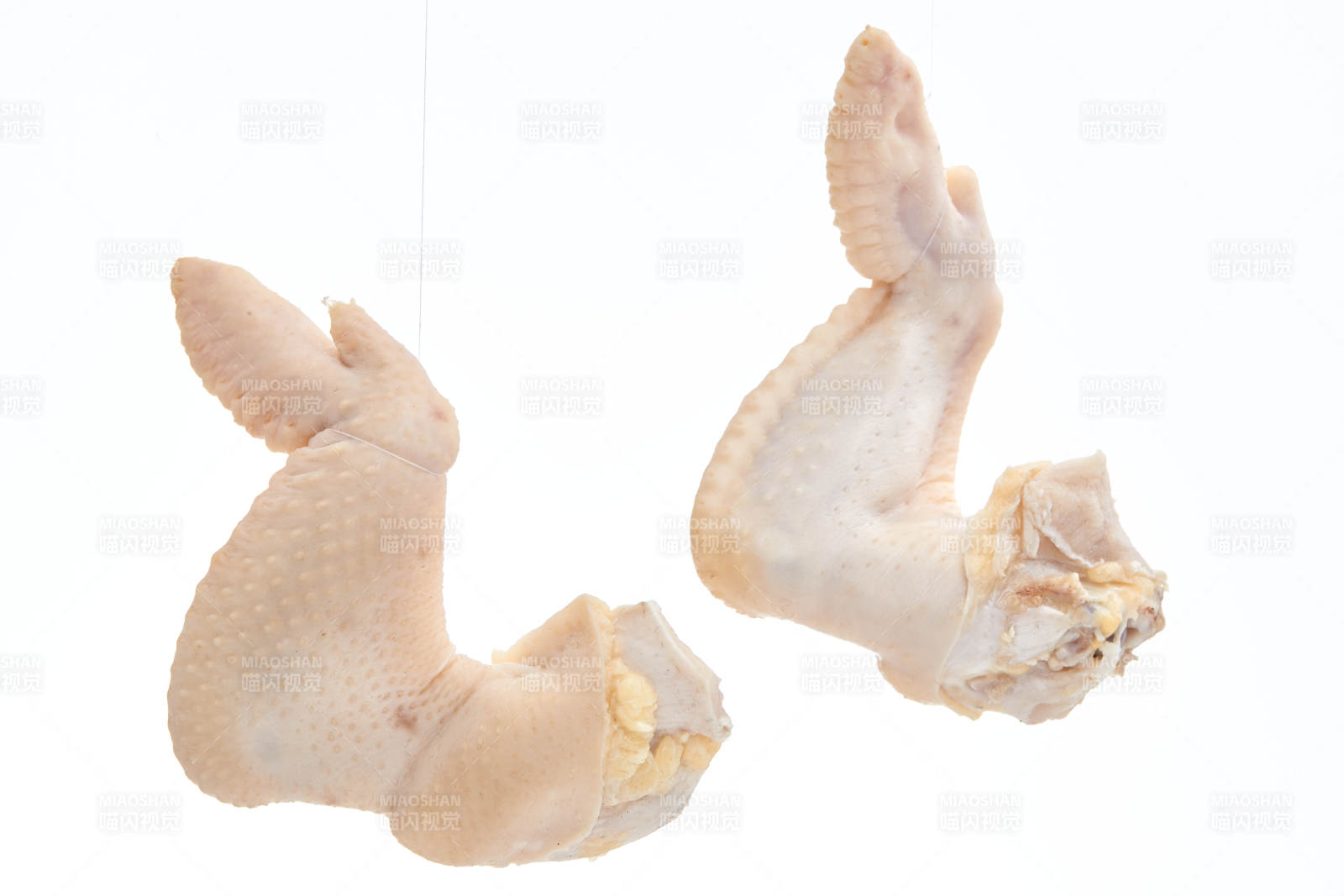 摆放在白色背景上分切好的生鲜鸡腿