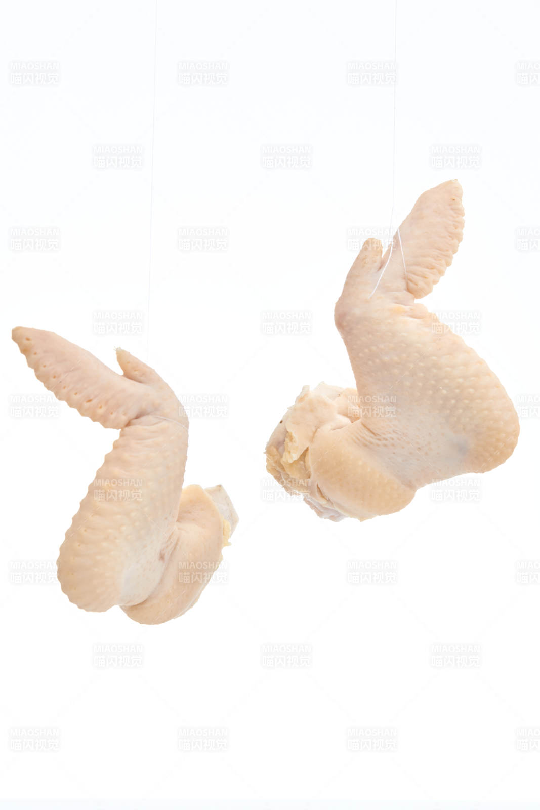 摆放在白色背景上分切好的生鲜鸡腿