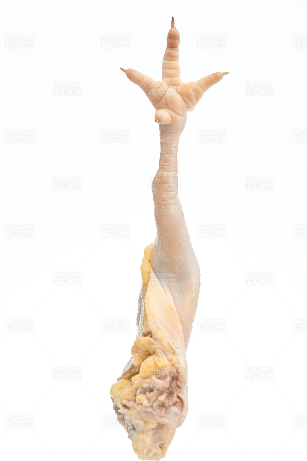 摆放在白色背景上分切好的生鲜鸡腿