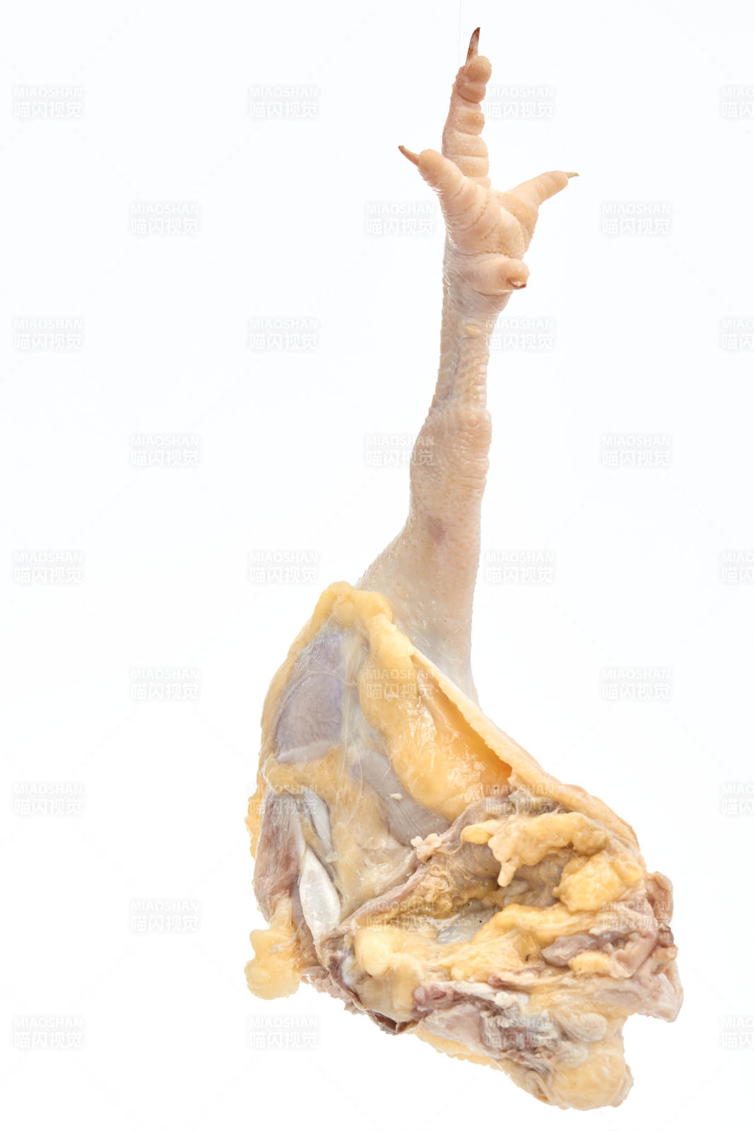 摆放在白色背景上分切好的生鲜鸡腿