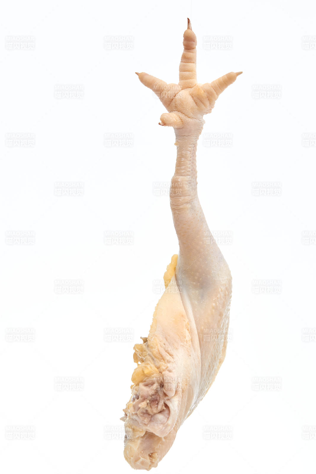 摆放在白色背景上分切好的生鲜鸡腿