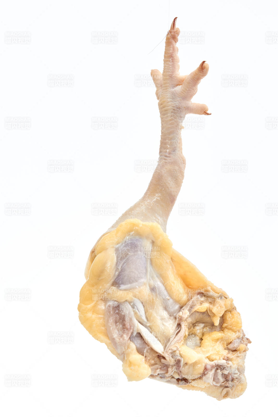 摆放在白色背景上分切好的生鲜鸡腿